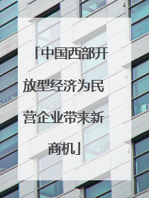 中国西部开放型经济为民营企业带来新商机