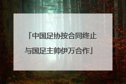 中国足协按合同终止与国足主帅伊万合作