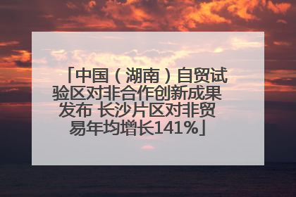中国（湖南）自贸试验区对非合作创新成果发布 长沙片区对非贸易年均增长141%