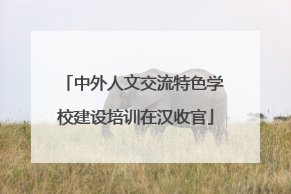 中外人文交流特色学校建设培训在汉收官