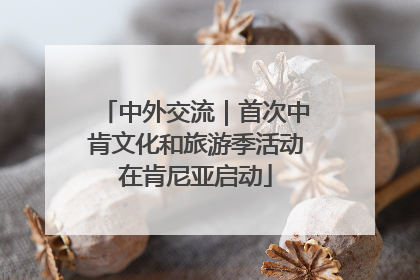 中外交流｜首次中肯文化和旅游季活动在肯尼亚启动