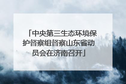 中央第三生态环境保护督察组督察山东省动员会在济南召开