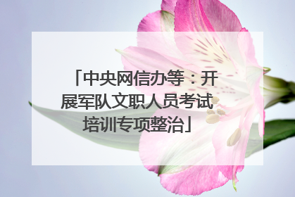 中央网信办等：开展军队文职人员考试培训专项整治