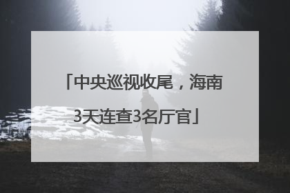 中央巡视收尾，海南3天连查3名厅官