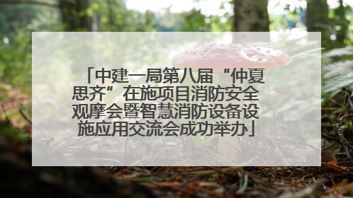 中建一局第八届“仲夏思齐”在施项目消防安全观摩会暨智慧消防设备设施应用交流会成功举办