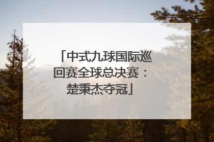 中式九球国际巡回赛全球总决赛：楚秉杰夺冠