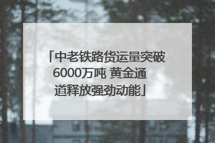 中老铁路货运量突破6000万吨 黄金通道释放强劲动能