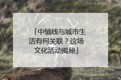 中轴线与城市生活有何关联？这场文化活动揭秘