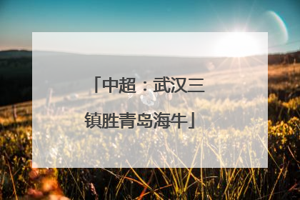 中超：武汉三镇胜青岛海牛