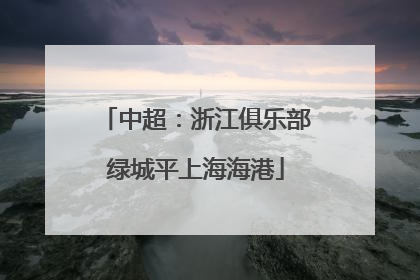 中超：浙江俱乐部绿城平上海海港