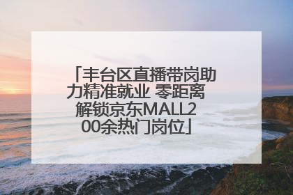 丰台区直播带岗助力精准就业 零距离解锁京东MALL200余热门岗位