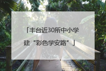 丰台近30所中小学建“彩色学安路”