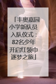 丰奥嘉园小学新队员入队仪式：82名少年开启红领巾逐梦之旅