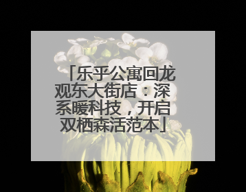 乐乎公寓回龙观东大街店：深系暖科技，开启双栖森活范本