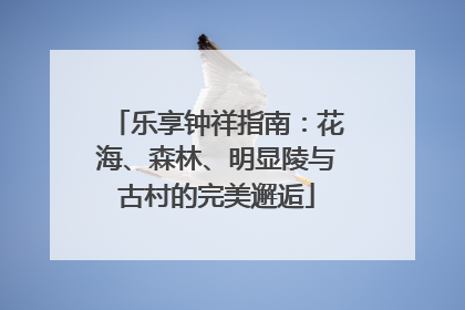 乐享钟祥指南：花海、森林、明显陵与古村的完美邂逅
