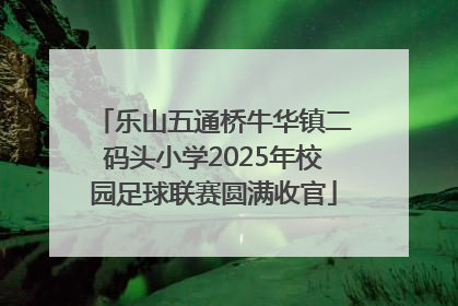 乐山五通桥牛华镇二码头小学2025年校园足球联赛圆满收官