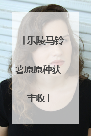 乐陵马铃薯原原种获丰收