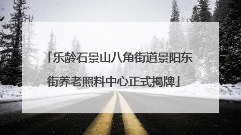 乐龄石景山八角街道景阳东街养老照料中心正式揭牌