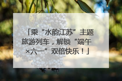 乘“水韵江苏”主题旅游列车，解锁“端午×六一”双倍快乐！