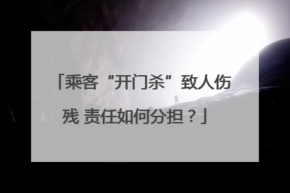 乘客“开门杀”致人伤残 责任如何分担？