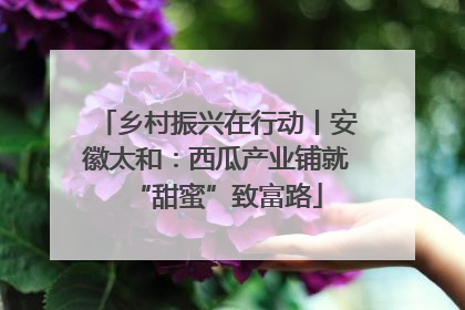 乡村振兴在行动丨安徽太和：西瓜产业铺就“甜蜜”致富路