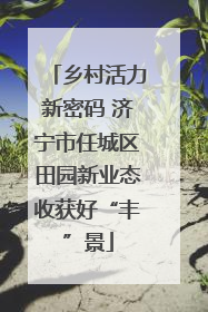 乡村活力新密码 济宁市任城区田园新业态收获好“丰”景