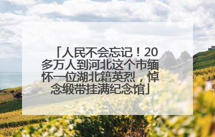 人民不会忘记！20多万人到河北这个市缅怀一位湖北籍英烈，悼念缎带挂满纪念馆