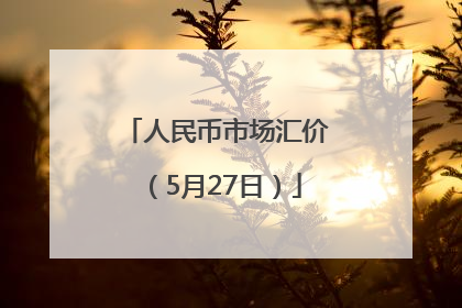 人民币市场汇价（5月27日）