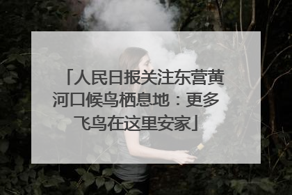 人民日报关注东营黄河口候鸟栖息地：更多飞鸟在这里安家