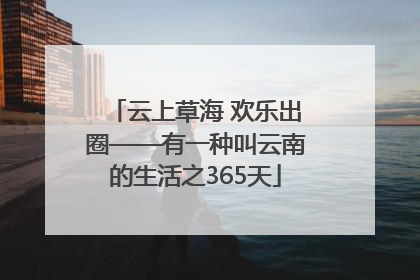 云上草海 欢乐出圈——有一种叫云南的生活之365天