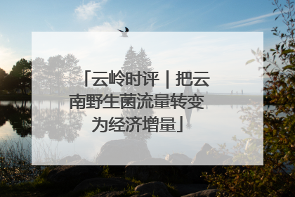 云岭时评｜把云南野生菌流量转变为经济增量