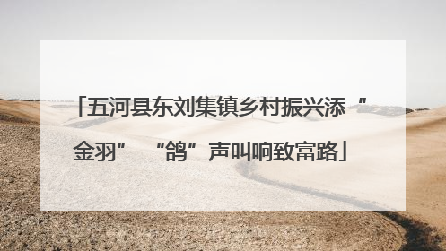 五河县东刘集镇乡村振兴添“金羽” “鸽”声叫响致富路
