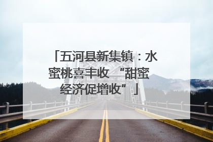 五河县新集镇：水蜜桃喜丰收 “甜蜜经济促增收”