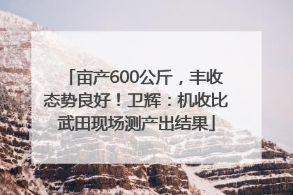 亩产600公斤，丰收态势良好！卫辉：机收比武田现场测产出结果