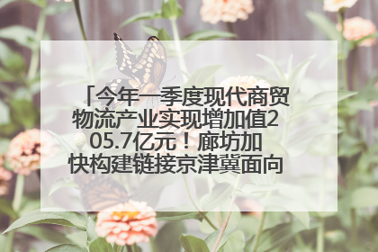 今年一季度现代商贸物流产业实现增加值205.7亿元！廊坊加快构建链接京津冀面向全世界的物流通道
