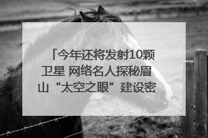 今年还将发射10颗卫星 网络名人探秘眉山“太空之眼”建设密码｜网络名人四川行