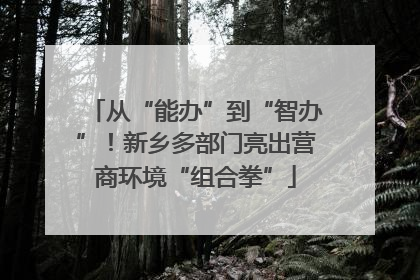 从“能办”到“智办”！新乡多部门亮出营商环境“组合拳”
