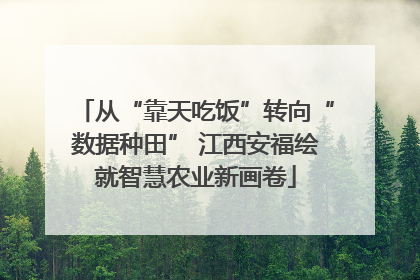 从“靠天吃饭”转向“数据种田” 江西安福绘就智慧农业新画卷