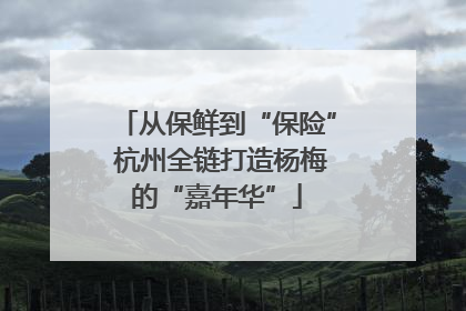 从保鲜到“保险” 杭州全链打造杨梅的“嘉年华”