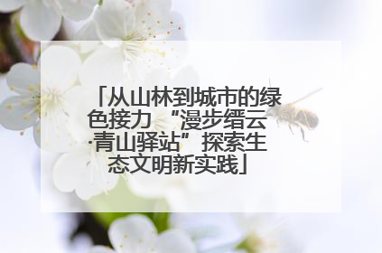 从山林到城市的绿色接力 “漫步缙云·青山驿站”探索生态文明新实践
