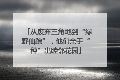 从废弃三角地到“绿野仙踪”，他们亲手“种”出睦邻花园