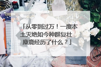 从零到过万！一度本土灭绝如今种群复壮 麋鹿经历了什么？