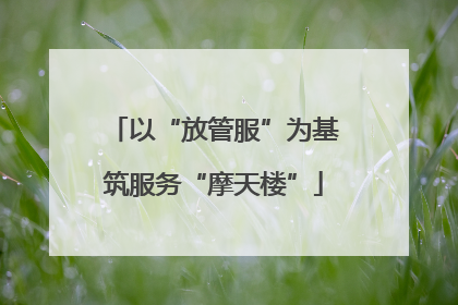 以“放管服”为基筑服务“摩天楼”
