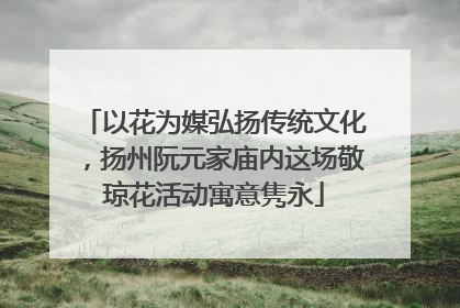 以花为媒弘扬传统文化，扬州阮元家庙内这场敬琼花活动寓意隽永