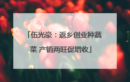 伍光豪：返乡创业种蔬菜 产销两旺促增收