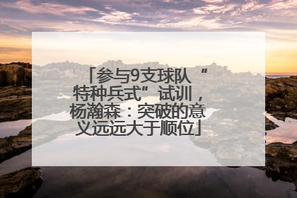 参与9支球队“特种兵式”试训，杨瀚森：突破的意义远远大于顺位