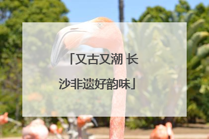 又古又潮 长沙非遗好韵味