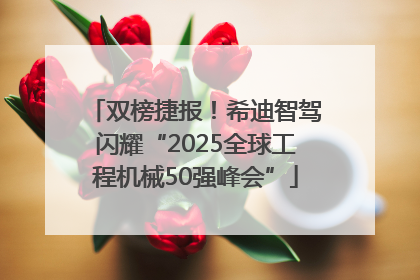 双榜捷报！希迪智驾闪耀“2025全球工程机械50强峰会”
