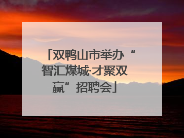 双鸭山市举办“智汇煤城·才聚双赢”招聘会