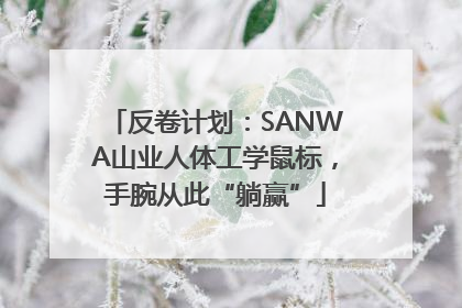 反卷计划：SANWA山业人体工学鼠标，手腕从此“躺赢”